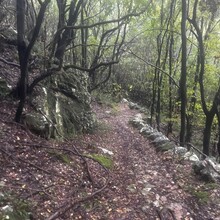 Peter Fairhurst, Stephane Vautier - Corfu Trail - S-N - Long Route