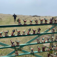 Jamie Munro, Kelly Staunton - Walney Island Loop - England Coast Path