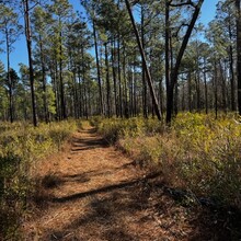 Kayla Fitzgerald - Palmetto Trail:  Swamp Fox Passage (SC)