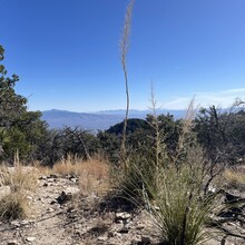 Sara Aranda - Mount Kimball (AZ)