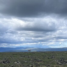 Audrey Swank - Pinnell Mountain Trail (AK)