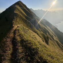 Max Wilson - The Hardergrat