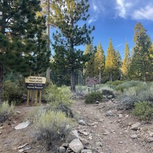 Olivia Horgan - San Gorgonio Mountain (CA)