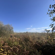 Alexandra Monson, Heidi Columb - Powwow Trail (MN)