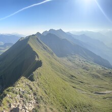 Max Wilson - The Hardergrat