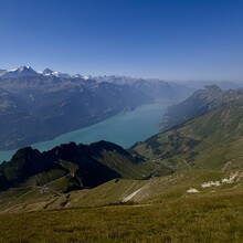 Max Wilson - The Hardergrat