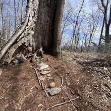 Nicole Fyvie, Samantha Homan - Wapack Trail (NH)