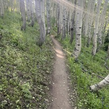 Vitaliy Musiyenko - Upper Big Cottonwood Canyon Traverse