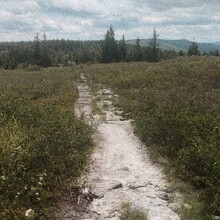 Sam Trioli - Dollysods Circumnavigation