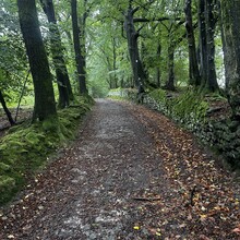 Lenn Mensenkamp - Hermannsweg (Germany)