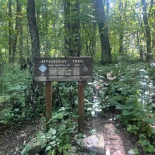 Sarah Baker - Appalachian Trail: Roan Mountain Highlands (TN)