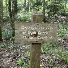 Sarah Baker - Appalachian Trail: Roan Mountain Highlands (TN)