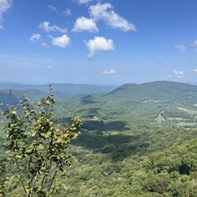 Sarah Baker - Appalachian Trail: Roan Mountain Highlands (TN)