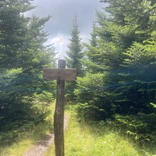 Sarah Baker - Appalachian Trail: Roan Mountain Highlands (TN)