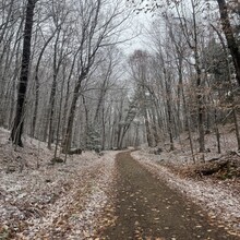 Margaret Leibovic - Great Trail in Gatineau Park (QC, Canada)