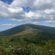 Sarah Baker - Appalachian Trail: Roan Mountain Highlands (TN)