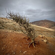Martin Bláha, Jaroslav Ehrlich - Fuerteventura E4 5islas3ultras (GR131) (Spain)