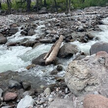 Carly Peterson - PCT: Bridge of the Gods - Timberline Lodge (OR)