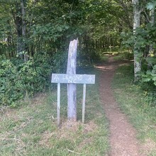 Sarah Baker - Appalachian Trail: Roan Mountain Highlands (TN)