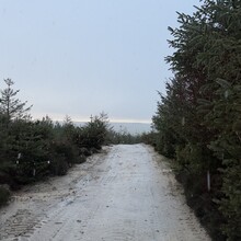 Dave Town - The Way of Light