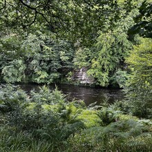 Scott Curdie - River Ayr Way (UK)