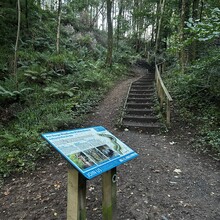 Scott Curdie - River Ayr Way (UK)