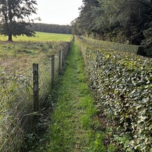 Scott Curdie - River Ayr Way (UK)
