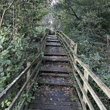 Scott Curdie - River Ayr Way (UK)