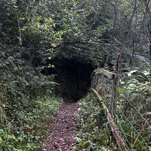 Scott Curdie - River Ayr Way (UK)