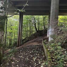 Scott Curdie - River Ayr Way (UK)