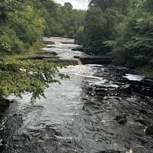 Scott Curdie - River Ayr Way (UK)