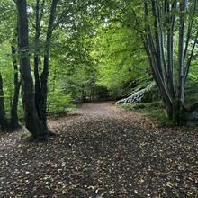 Scott Curdie - River Ayr Way (UK)