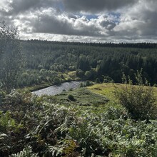 Scott Curdie - River Ayr Way (UK)