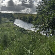 Scott Curdie - River Ayr Way (UK)