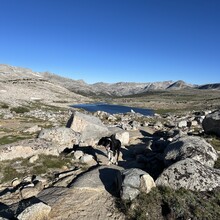 Matt Zupan - Bishop "Sky Marathon"