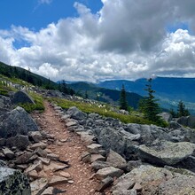 Carly Peterson - PCT: Bridge of the Gods - Timberline Lodge (OR)