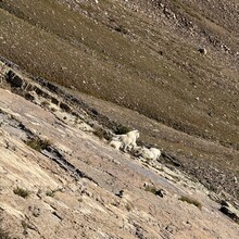 Samuel Jenkins - PURL — Provo Ultimate Ridge Linkup
