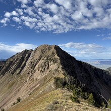 Samuel Jenkins - PURL — Provo Ultimate Ridge Linkup