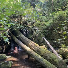 Holly Alpine, Will Alpine - Vesper Peak