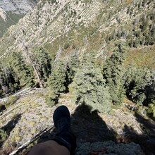 Samuel Jenkins - PURL — Provo Ultimate Ridge Linkup