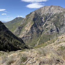 Samuel Jenkins - PURL — Provo Ultimate Ridge Linkup