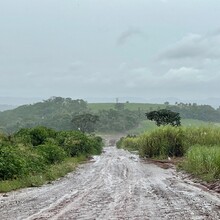 David Green - Caminho da Fé – Borborema to Aparecida