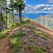 Carly Peterson - PCT: Bridge of the Gods - Timberline Lodge (OR)