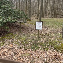 Sam Savage - Pine Knob - Whitetail Trail (PA)