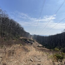 Sam Savage - Pine Knob - Whitetail Trail (PA)