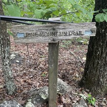 Will Daniels, Isaac Daniels - Pine Mountain Trail (GA)