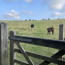Sue Lord - Offa's Dyke (United Kingdom)
