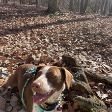 Chris Leblanc - Uwharrie Trail (NC)