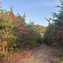 Samantha Jones-Cox, Kim Hall - Knobstone Hiking Trail (IN)