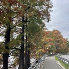 Luciano Pala - Anello Lago d'Iseo (Italy)